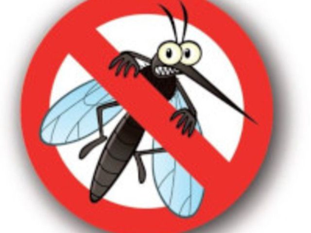 Anche a Trecate entra nel vivo la lotta alle zanzare