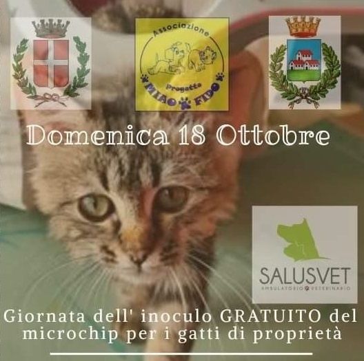 Domenica Microchip gratuiti per i gatti di Trecate