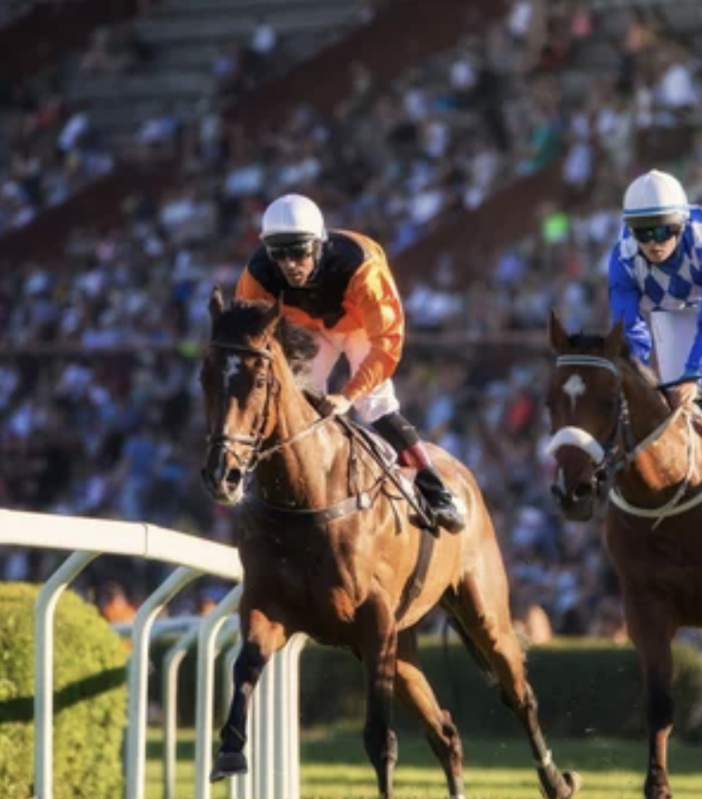 Quali sono i tipi di scommesse sulle corse di cavalli?