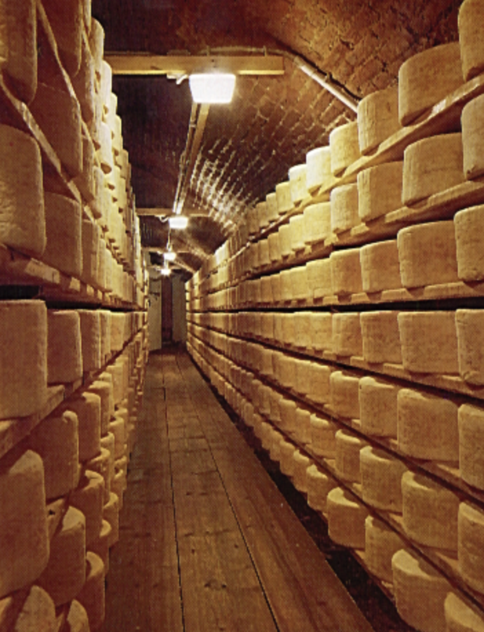 Produzione gorgonzola dop 2022: superati i 5 milioni di forme, ma il trend e’ negativo dopo dieci anni