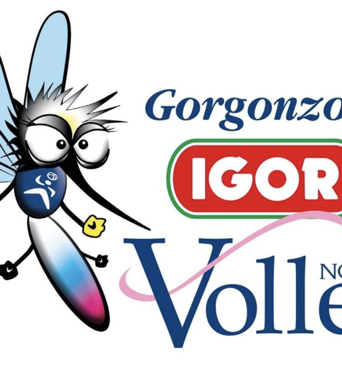 La Igor Novara chiede di rispettare il dolore della squadra