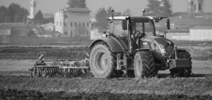 A Trecate anche la &quot;Fiera Agricola e Artigiana&quot;