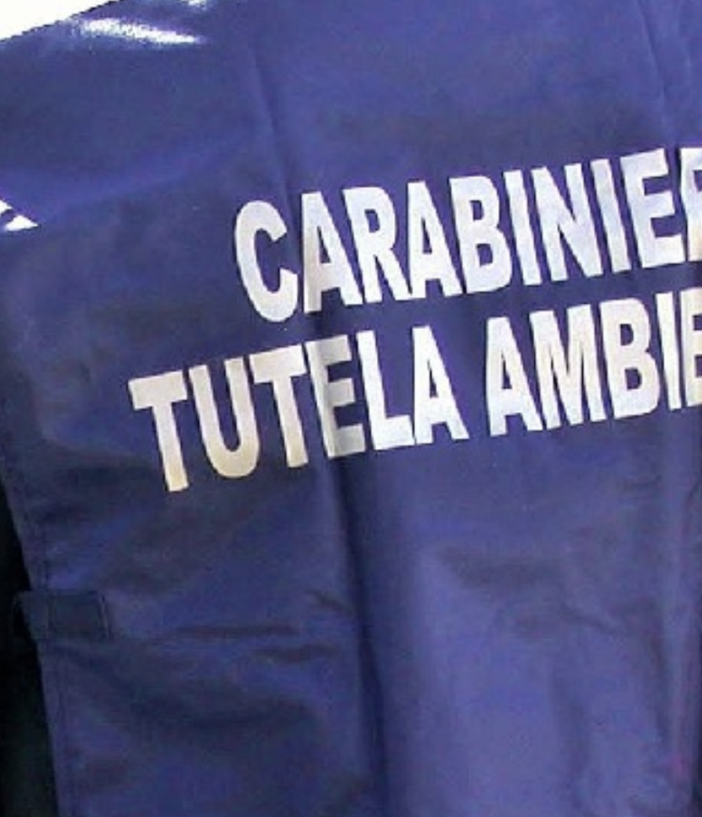Traffico illecito di rifiuti, coinvolto anche l'ex patron del Novara Calcio Maurizio Rullo