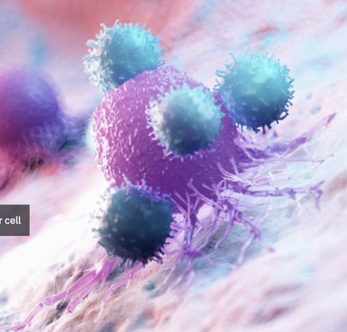 Torna a Novara il workshop internazionale “No Cancer”