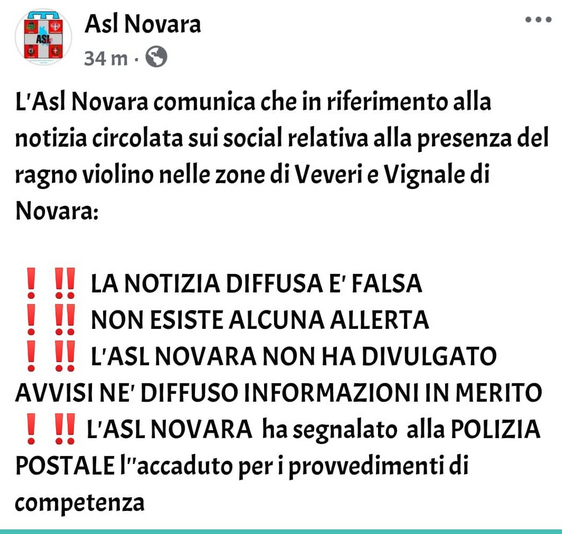 Falsa allerta sulla presenza di Ragni Violino crea paura a Novara: l'Asl smentisce
