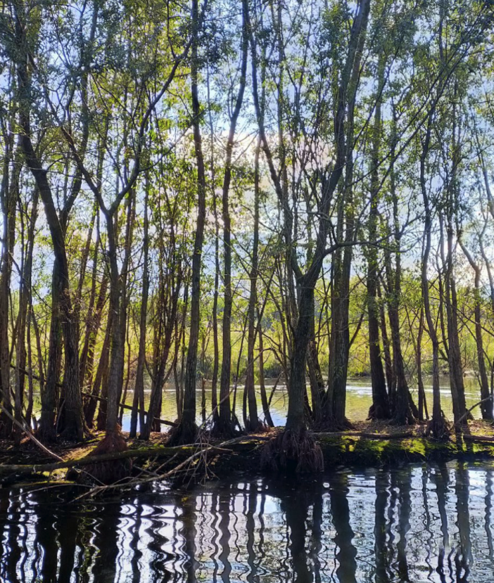L'ente di gestione aree protette Ticino e Lago Maggiore presenta “Natura partecipata”
