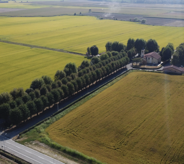 Agricoltura e cambiamenti climatici: a Novara due convegni per il futuro del riso