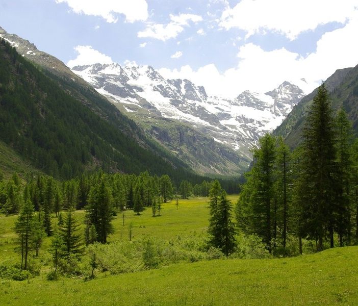 Climbing for Climate, gli atenei piemontesi uniti per sensibilizzare sui cambiamenti climatici