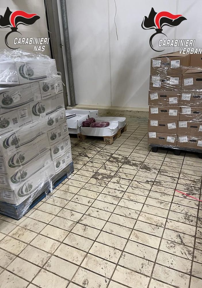 In un salumificio industriale del Vco scoperti 9000 chili di carne mal conservata e scaduta da 5 anni i