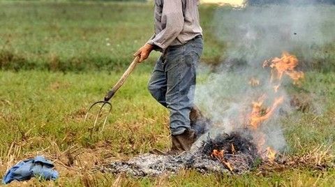 Abbruciamenti residui vegetali: introdotta la possibilità di deroga nel periodo di divieto