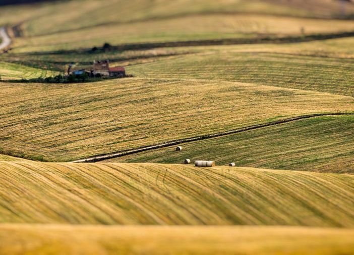 Nominati i rappresentanti novaresi del ‘Tavolo del Partenariato agroalimentare e rurale’