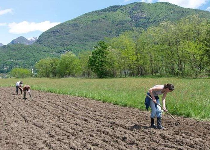 Dalla Regione in arrivo 12,7 milioni di euro per le aziende agricole