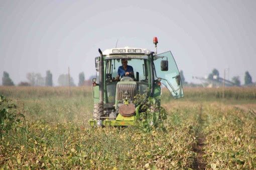 Coldiretti Novara-Vco: “In aumento i furti nelle campagne&quot;