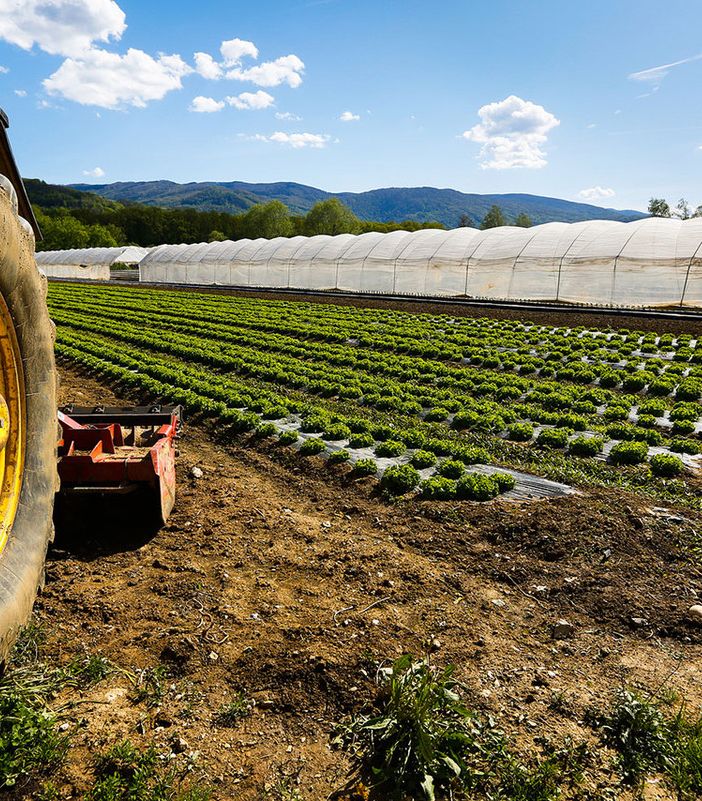 Coldiretti Piemonte, Mercosur: accordo rottama agricoltori Ue e finanzia aziende sudamericane