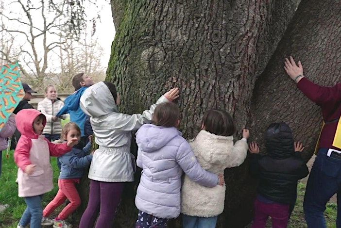 Dodici appuntamenti dedicati alla sostenibilità ambientale promossi dal Circolo Il Pioppo