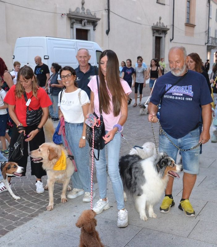 Borgomanero invaso dagli 'amici a 4 zampe': una serata di gioia e solidarietà