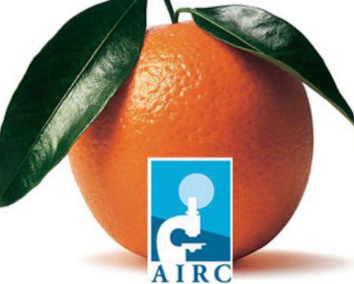 Successo per la Giornata delle Arance: 21.385 euro raccolti per la Ricerca sul cancro