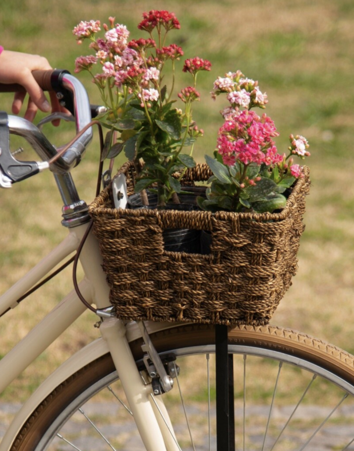 Torna ad Arona l'evento 'Biciclette in fiore' con una pedalata addobbata