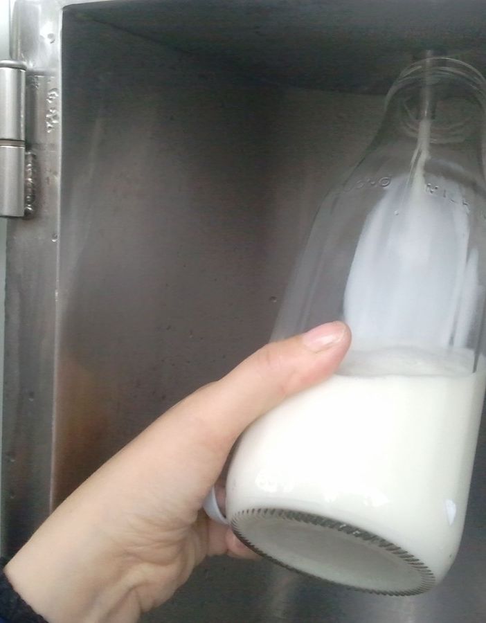 Il latte, un compagno di vita, spesso demonizzato, che è invece, tracciato, controllato e ancora poco conosciuto