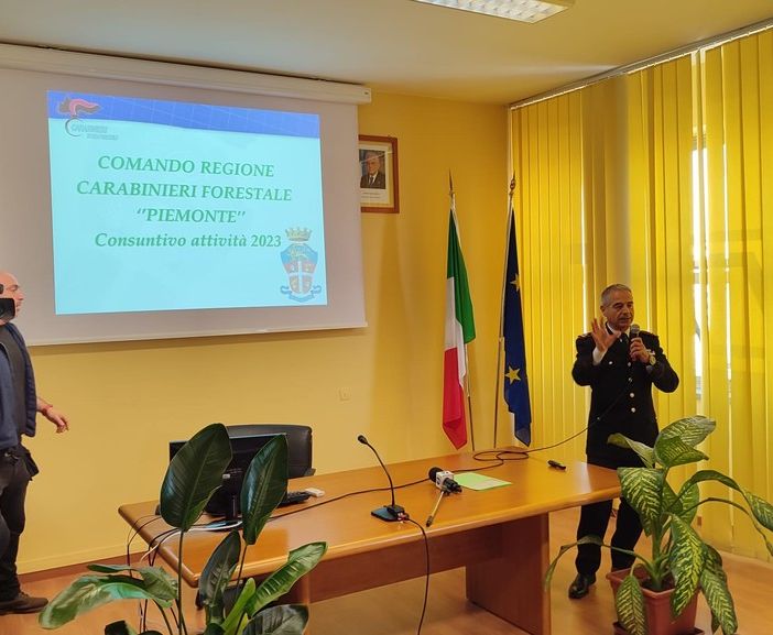 Carabinieri forestali, a Novara crescono i controlli sul traffico illecito di metalli