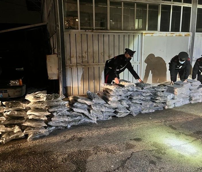 Varese, maxi sequestro di droga: nel rimorchio sotto il trattore spuntano 220 chili di hashish e marijuana. VIDEO