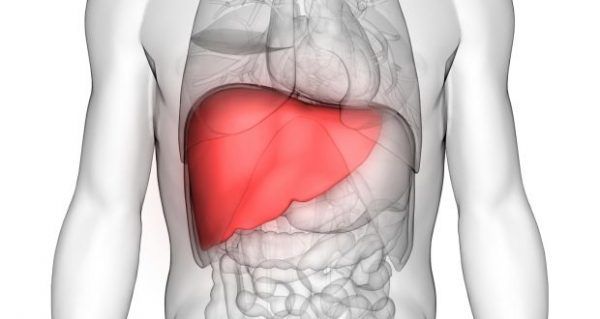 Giornata Mondiale dell’Epatite, l’Ospedale Maggiore invita allo screening gratuito