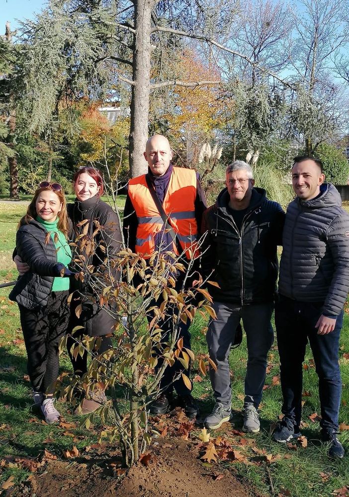Tre nuove piante messe a dimora dall’associazione volontari per l’ambiente