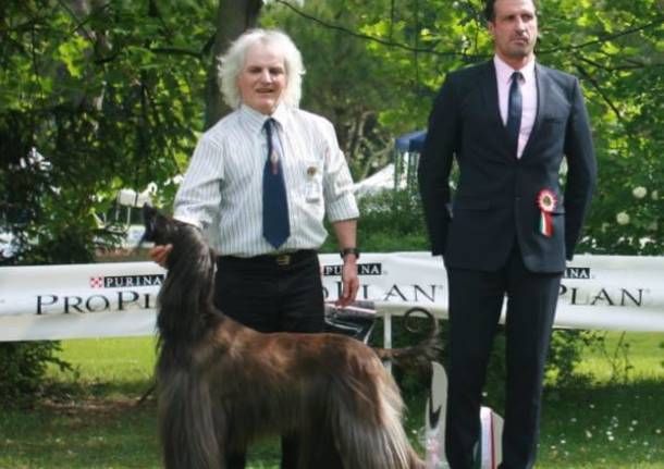 Recuperato dai sommozzatori il corpo di Enrico Faraglia