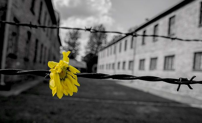 Giorno della Memoria, la provincia coinvolge le scuole in numerose iniziative