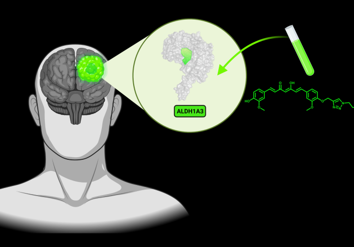 Dall’Upo nasce una tecnologia che “illumina” le cellule tumorali nel cervello