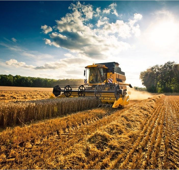 Pac: Più di 81 milioni di euro per oltre 14 mila aziende agricole piemontesi