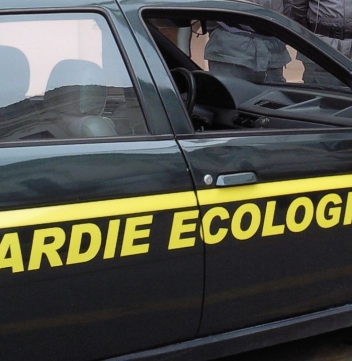 Bilancio positivo per le guardie ecologiche della Provincia