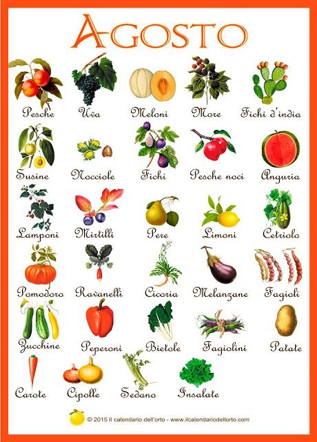 A Trecate torna l'AgriMercato di Campagna Amica