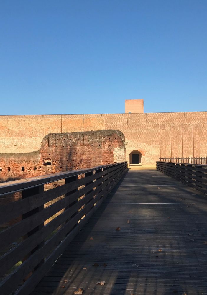 Il Mercato del Riso al Castello Sforzesco di Novara