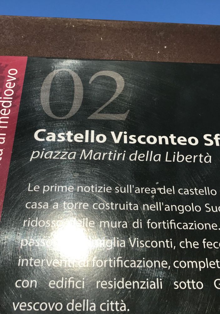 Sabato al Castello di Novara Alessia Gazzola presenterà il suo libro “Costanza e buoni propositi”