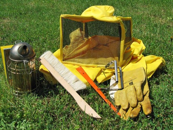 Contributi dalla Regione per l'acquisto di materiale nel settore apistico