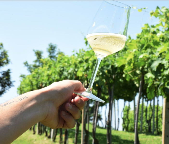 Per l'apertura di Collisioni a Barolo con Eddie Vedder arriva l'Asti Day