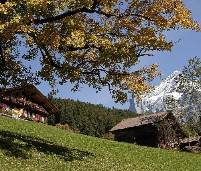 Agosto negli agriturismi, crescita delle presenze del 3%