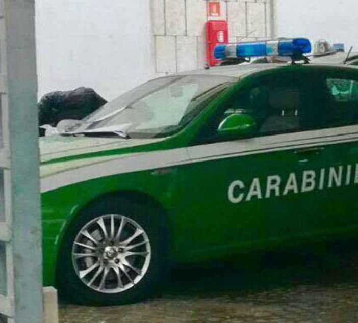 E’ attivo al Comune di Borgomanero lo sportello forestale