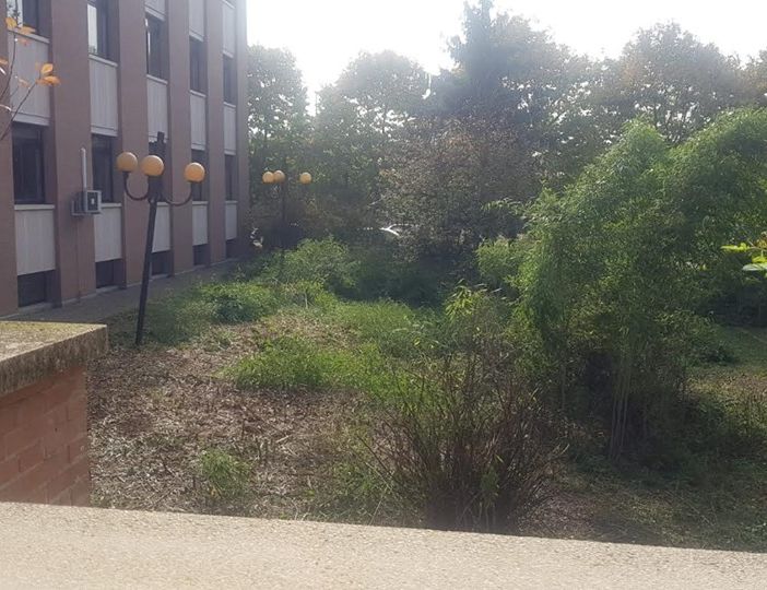 Progetti e obiettivi: incontro della Provincia con i Dirigenti scolastici