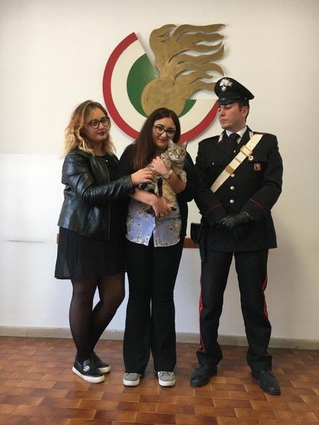 Notizie dal Piemonte. Trova gatto e chiede un riscatto per restituirlo: arrestata
