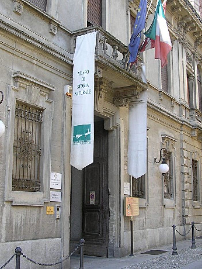 Roads: strade melodiche, strade dissonanti. Cinque appuntamenti al Museo di Storia Naturale Faraggiana Ferrandi