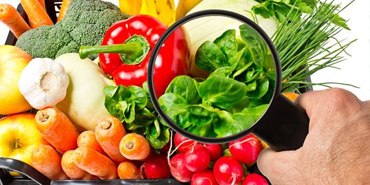 'Il controllo ufficiale della sicurezza alimentare'. Martedì 11 giugno l’ASL presenta alle imprese il piano integrato per l’anno 2019 nella sede di Vercelli di Confindustria Novara Vercelli Valsesia