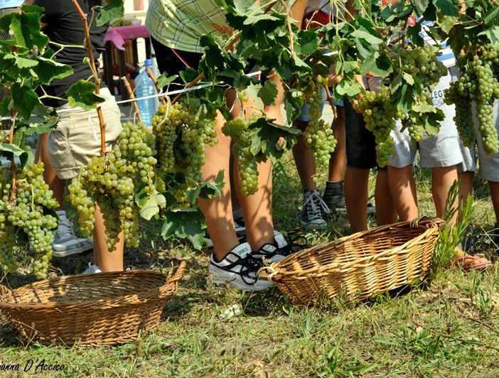 Tutto pronto per la 74a edizione della Festa dell’Uva di Borgomanero