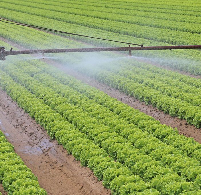 Coldiretti, pozzi irrigui: servono proroga per il ricondizionamento e risorse economiche
