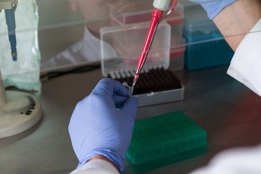 In arrivo 750mila test rapidi per le Rsa del Piemonte. Cirio: &quot;Monitoraggio continuo fino a marzo&quot;