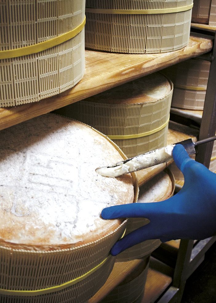 Gorgonzola e’ record di produzione nel 2019