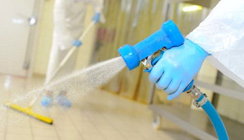Intervento di disinfestazione sulle piante di proprietà comunale a Trecate
