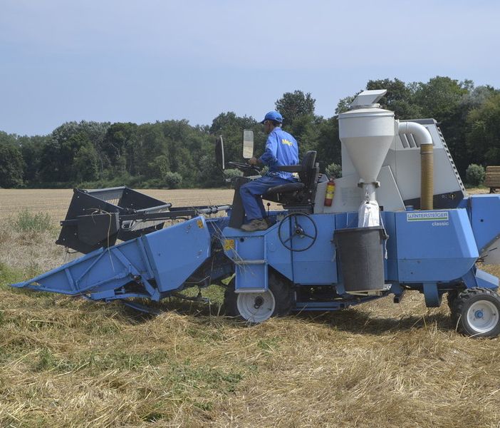 Trebbiatura del grano: per Coldiretti sono necessari nuovi accordi con filiera virtuosa