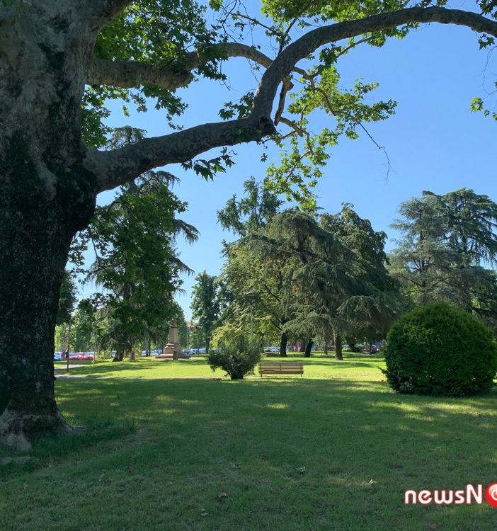 Tutti in bicicletta il 2 giugno per la caccia all'albero